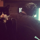 Image for article titled A Cat That Will Live Forever Inside A Video Game